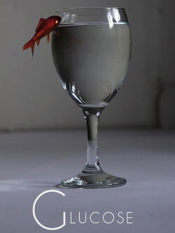 Glucose (2012)