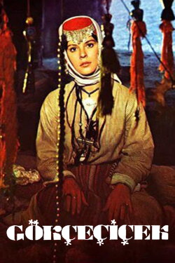 Gökçe Çiçek (1973) Gökçe Çiçek (1973)