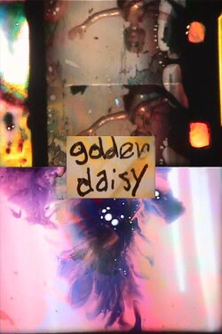 Golden Daisy (2004) Golden Daisy (2004)