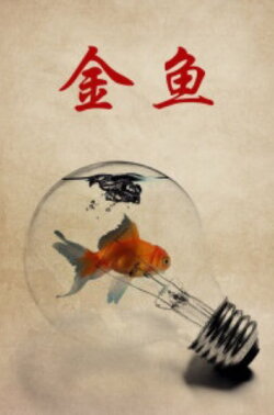 Goldfish (1995) Goldfish (1995)