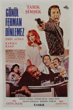 Gönül Ferman Dinlemez (1977) Gönül Ferman Dinlemez (1977)