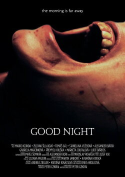 Good Night (2013) Good Night (2013)