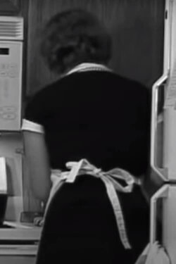 Good Wife's Guide Training Video (2010) Good Wife's Guide Training Video (2010)