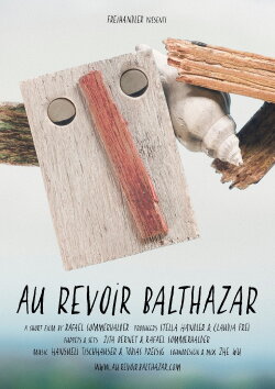 Goodbye Balthazar (2016)