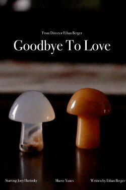 Goodbye To Love (2023) Goodbye To Love (2023)