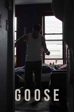 Goose (2017) Goose (2017)
