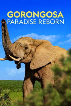 Gorongosa: Paradise Reborn (2022) Gorongosa: Paradise Reborn (2022)