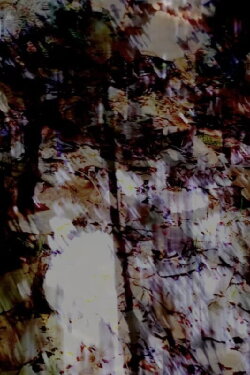 gossamer I (2023) gossamer I (2023)