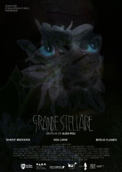 Grande Stellaire (2024) Grande Stellaire (2024)