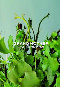 Grandmother (2010) Grandmother (2010)