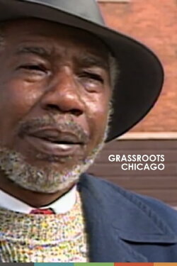 Grassroots Chicago (1991) Grassroots Chicago (1991)