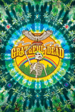 Grateful Dead: Sunshine Daydream (2013) Grateful Dead: Sunshine Daydream (2013)