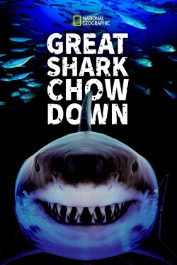 Great Shark Chow Down (2019) Great Shark Chow Down (2019)