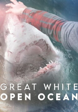 Great White Open Ocean (2022) Great White Open Ocean (2022)