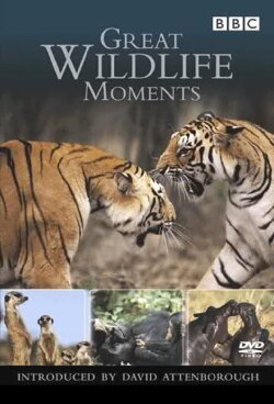 Great Wildlife Moments (2003) Great Wildlife Moments (2003)