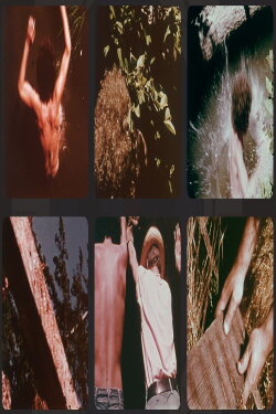 Greenfield (1977)