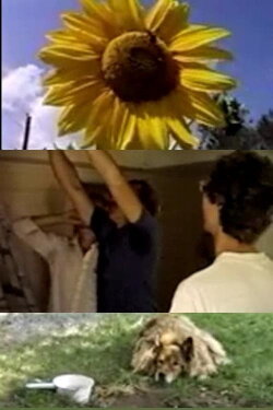 Greetings from Boulder (1986)