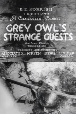 Grey Owl's Strange Guests (1934) Grey Owl's Strange Guests (1934)