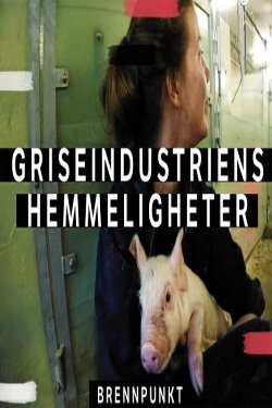 Griseindustriens hemmeligheter (2019) Griseindustriens hemmeligheter (2019)