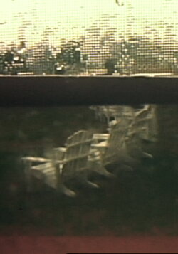 Group VIII: Hidden Tracings/Exposed Fragrances (1980) Group VIII: Hidden Tracings/Exposed Fragrances (1980)
