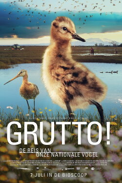 Grutto! De reis van onze nationale vogel (2022) Grutto! De reis van onze nationale vogel (2022)