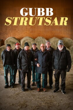 Gubbstrutsar (2024)