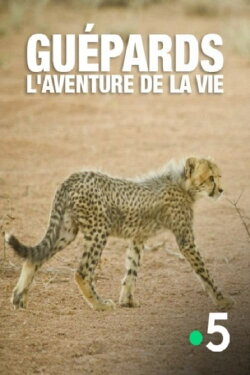 Guépards, l'aventure de la  vie (2019)