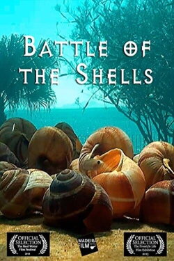 Guerra das conchas (2013) Guerra das conchas (2013)