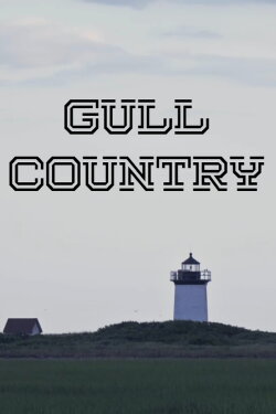 Gull Country (2023) Gull Country (2023)