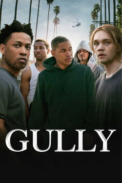 Gully (2021) Gully (2021)