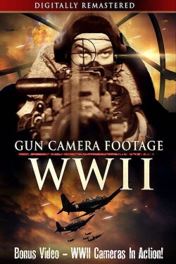 Gun Camera Footage WWII (2020) Gun Camera Footage WWII (2020)