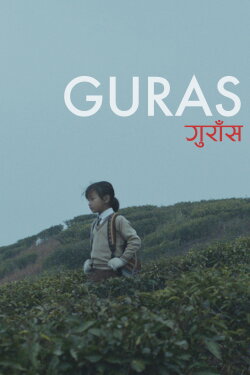 Guras (2023) Guras (2023)