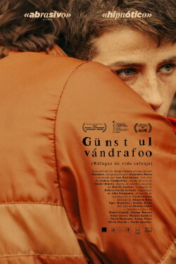 Gusts of Wild Life (2019) Gusts of Wild Life (2019)