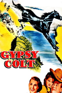 Gypsy Colt (1954) Gypsy Colt (1954)