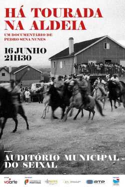 Há Tourada na Aldeia (2010) Há Tourada na Aldeia (2010)