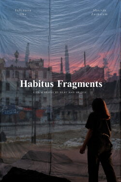 Habitus Fragments (2024) Habitus Fragments (2024)