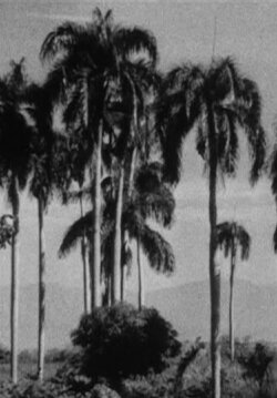 Haiti (1938) Haiti (1938)