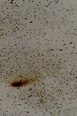 Halley’s Comet (2020) Halley’s Comet (2020)