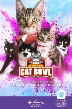 Hallmark Channel's 2nd Annual Cat Bowl (2020) Hallmark Channel's 2nd Annual Cat Bowl (2020)
