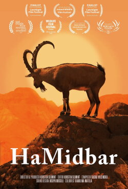 HaMidbar (2023)
