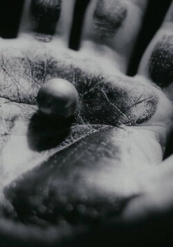 Hand (1966)