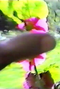 Hand In The Sun (1989) Hand In The Sun (1989)