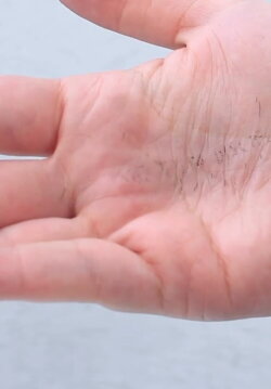 HANDLING (2020)