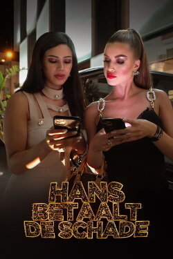 Hans betaalt de schade (2020)