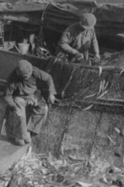 Harderwijkse Palingvissers (1940) Harderwijkse Palingvissers (1940)