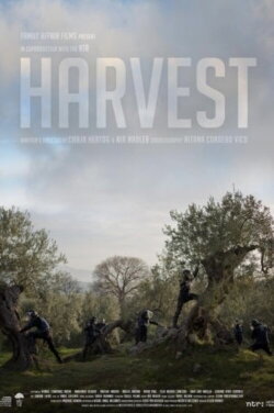 Harvest (2013) Harvest (2013)