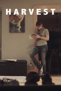Harvest (2017) Harvest (2017)