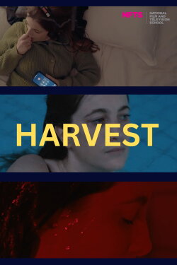 Harvest (2023) Harvest (2023)