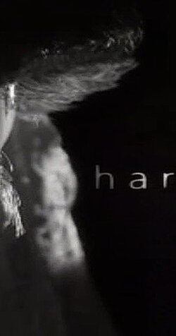 Harvey (2002) Harvey (2002)