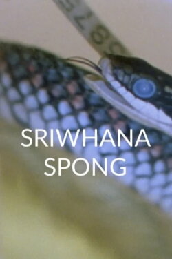 having-seen-snake (2016)